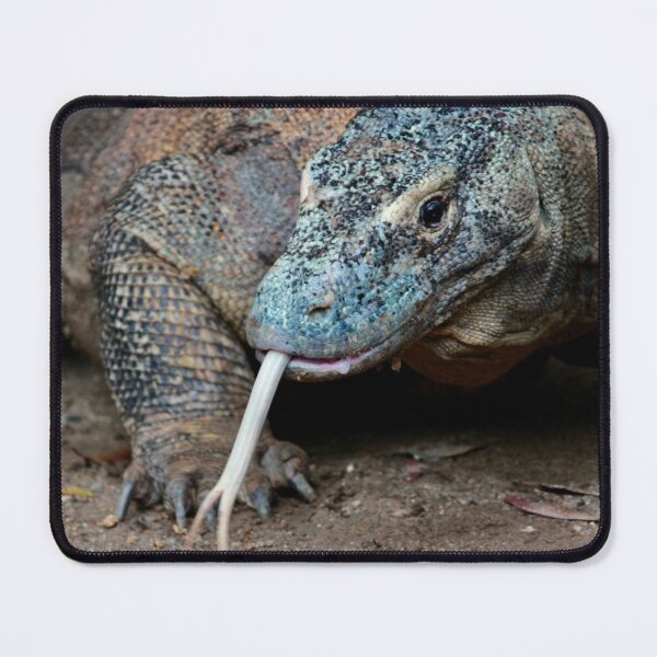 Item preview, Komodo dragon designed and sold by smh2.