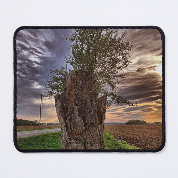 Item preview, Stump designed and sold by mreleganza.