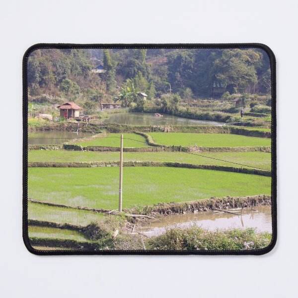 Item preview, Rice Fields Landscape, Vietnam designed and sold by worldways.