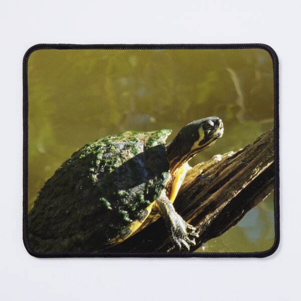 Item preview, Tiny Turtle Traversing the Twig designed and sold by toddbrooney.