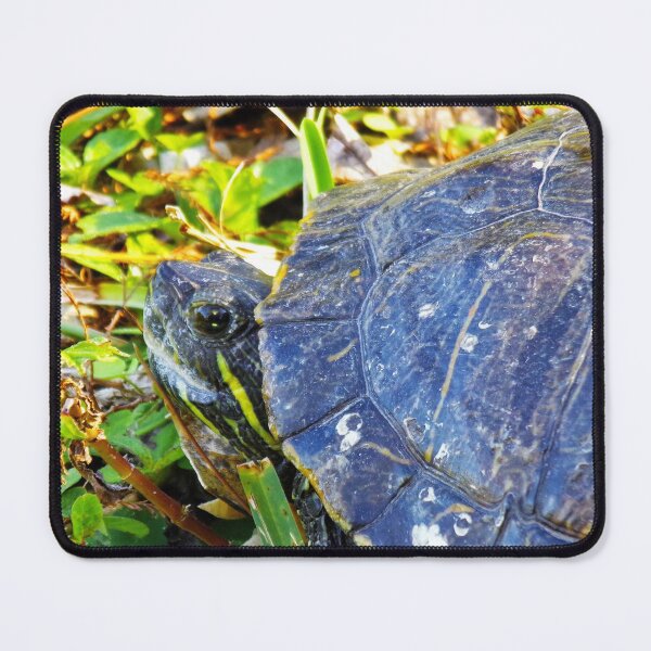 Item preview, Tiny Smiling Little Turtle Face designed and sold by toddbrooney.