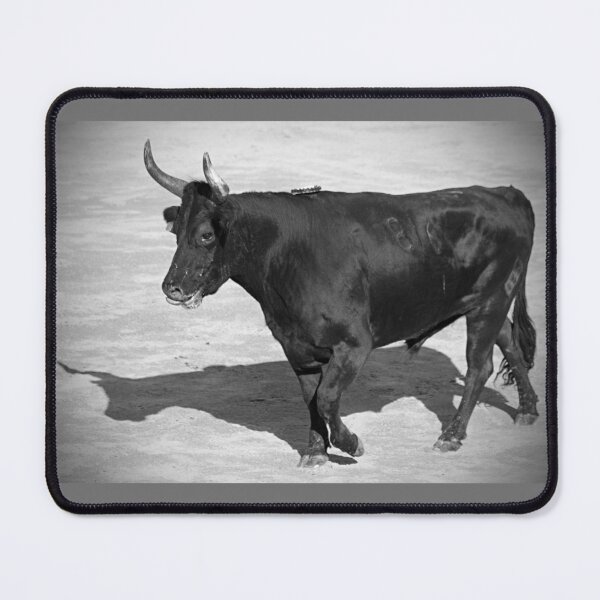 Item preview, Camargue bull in the arena black and white photo designed and sold by Astralia.