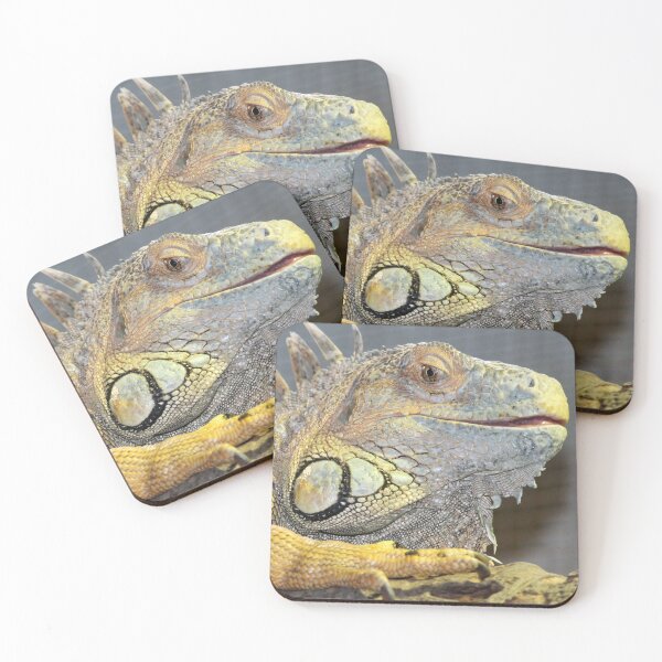 Item preview, Green Iguana designed and sold by smh2.