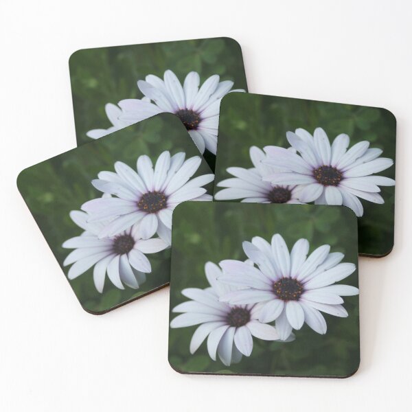 Item preview, Friendship - Two African Daisies designed and sold by Anna Lemos.