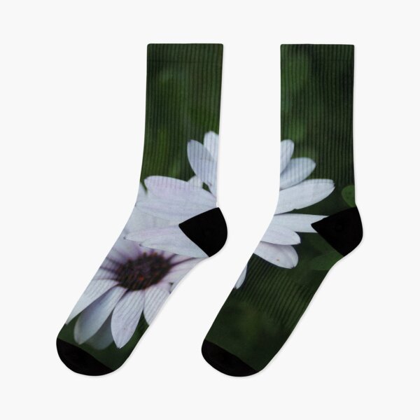 Item preview, Friendship - Two African Daisies designed and sold by Anna Lemos.