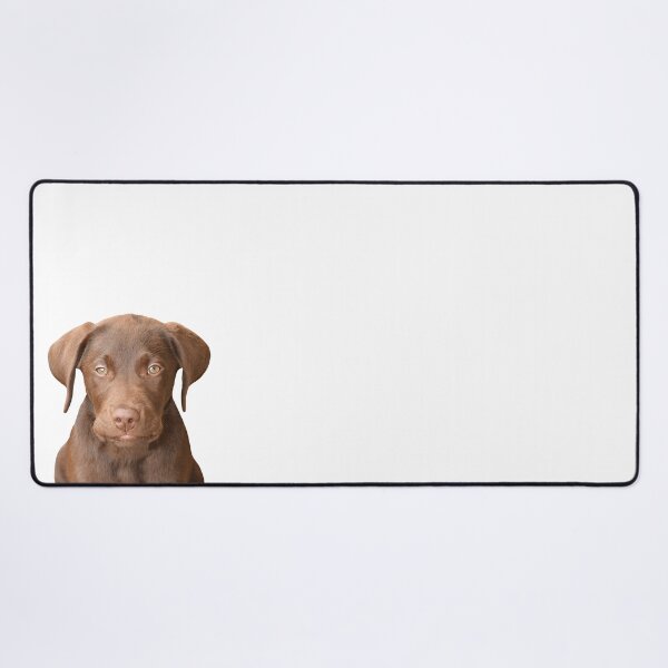 Item preview, Chocolate Labrador Puppy 5 designed and sold by quentinjlang.