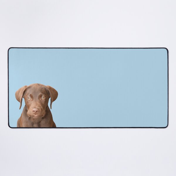 Item preview, Chocolate Labrador Puppy 6 designed and sold by quentinjlang.