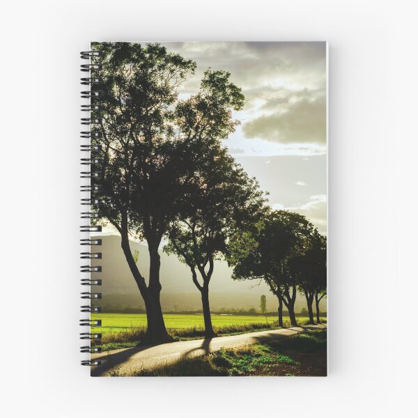 Item preview, Beautiful sunset through the trees, empty way in the fields of Alsace, Frabce, with mountains on background designed and sold by Alexander Sorokopud.