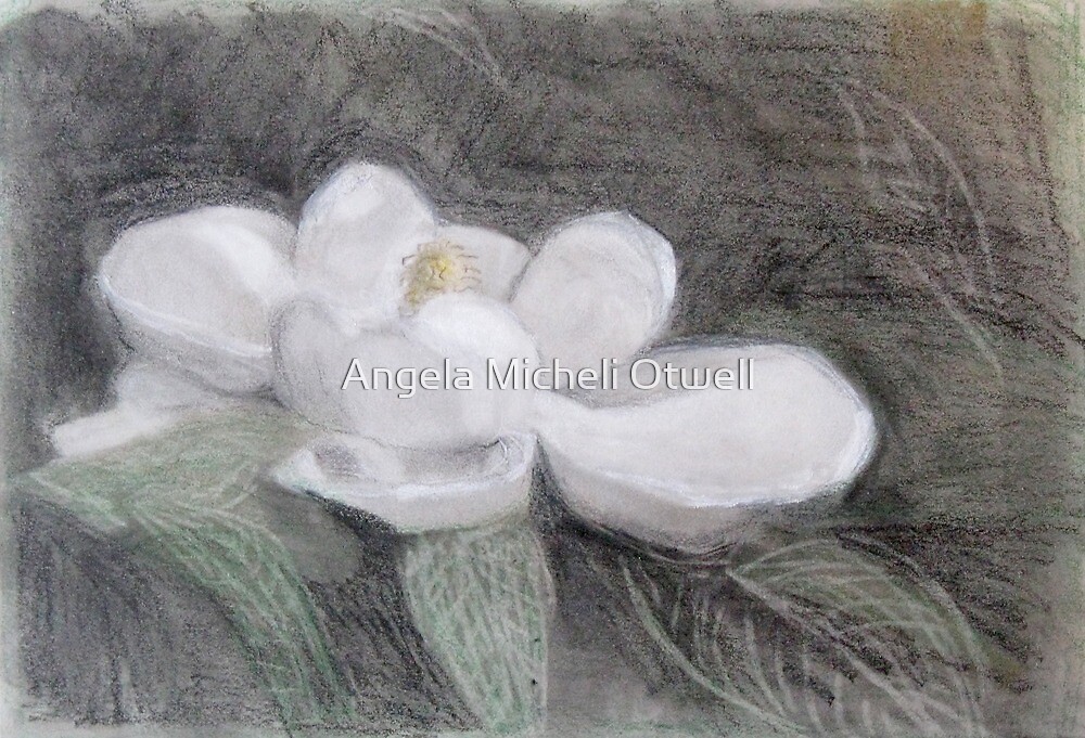 Southern Magnolia by Angela Micheli Otwell