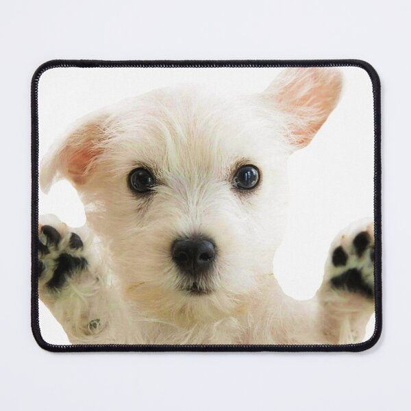 Item preview, HD Dog Sticker // HD Puppy Sticker designed and sold by A- Fun & Fans.