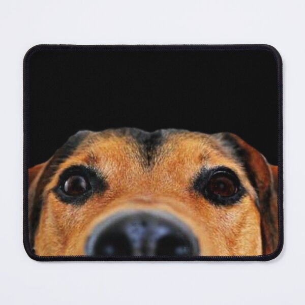 Item preview, HD Picture Dog Sticker // HD Dog Sticker // HD Puppy Sticker designed and sold by A- Fun & Fans.