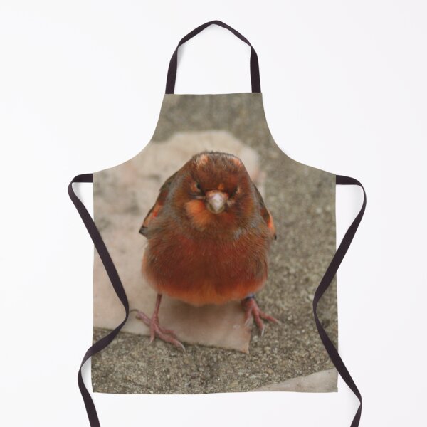 Item preview, Cute runaway canary bird designed and sold by Anna Lemos.