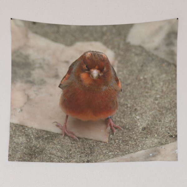 Item preview, Cute runaway canary bird designed and sold by Anna Lemos.