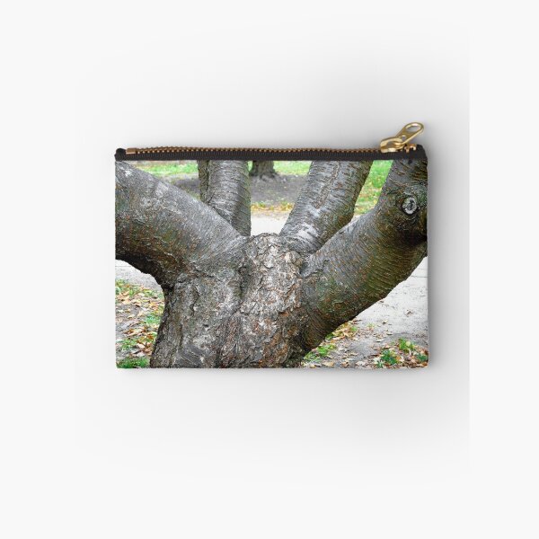 Item preview, Boston Common Study 1  designed and sold by Robert Meyers-Lussier.