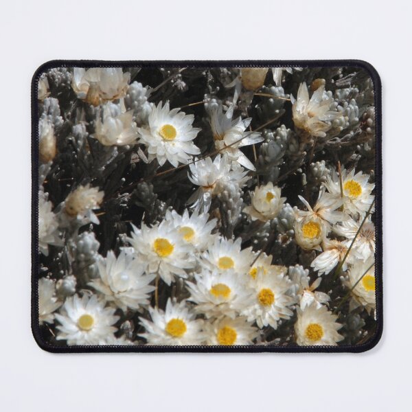 Item preview, African Alpine White Wildflowers Sanetti Plateau Ethiopia designed and sold by worldways.