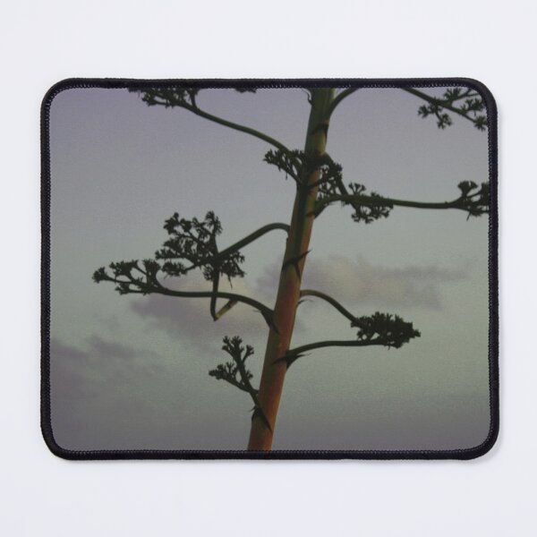 Item preview, Agave flower stalk and clouds designed and sold by Anna Lemos.