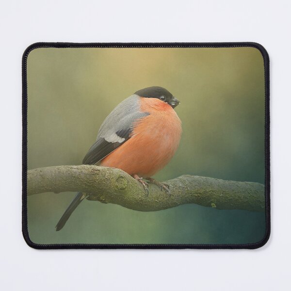 Item preview, Eurasian Bullfinch designed and sold by Elisabeth Lucas.