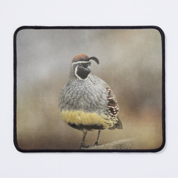 Item preview, Handsome Male Gambel's Quail designed and sold by Elisabeth Lucas.