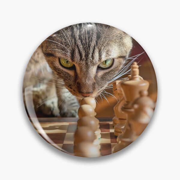 Green Eyed Cat Strategizes Next Chess Move Sticker for Sale by  CreatedProto