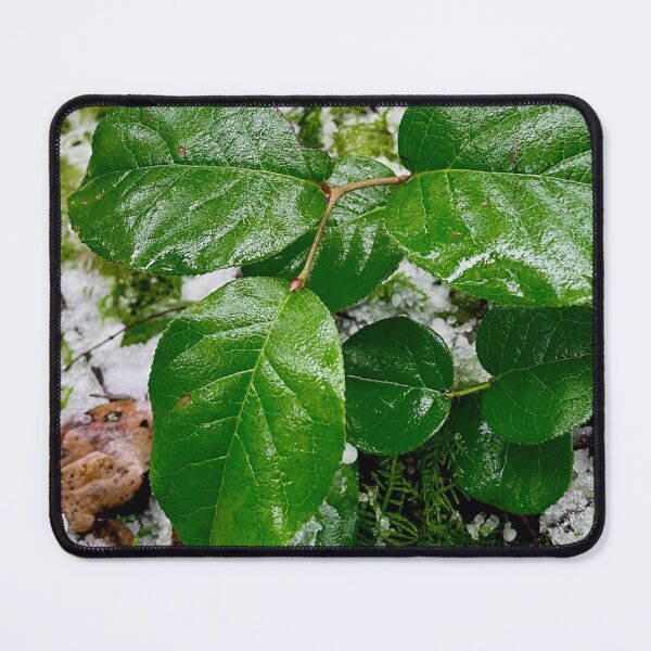 Item preview, Green Leaves After Winter Hail Storm designed and sold by PilotPresents.