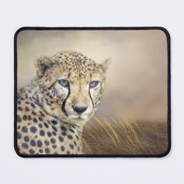 Item preview, Cheetah designed and sold by Elisabeth Lucas.