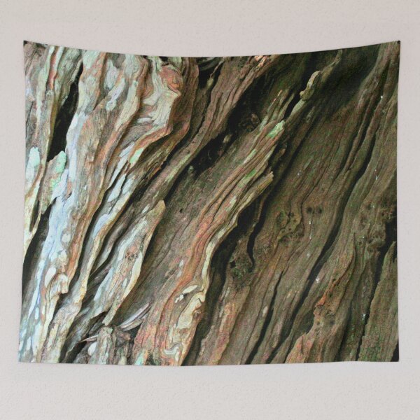 Item preview, Old Olive Tree Weathered Wood designed and sold by Anna Lemos.