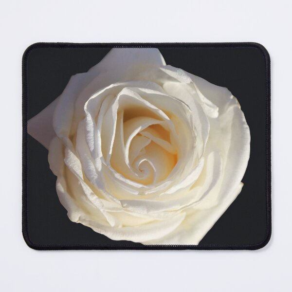 Item preview, White rose flower designed and sold by CatCarrot.
