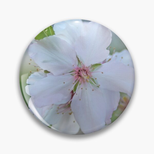 Item preview, Almond Tree Flower Closeup designed and sold by Anna Lemos.