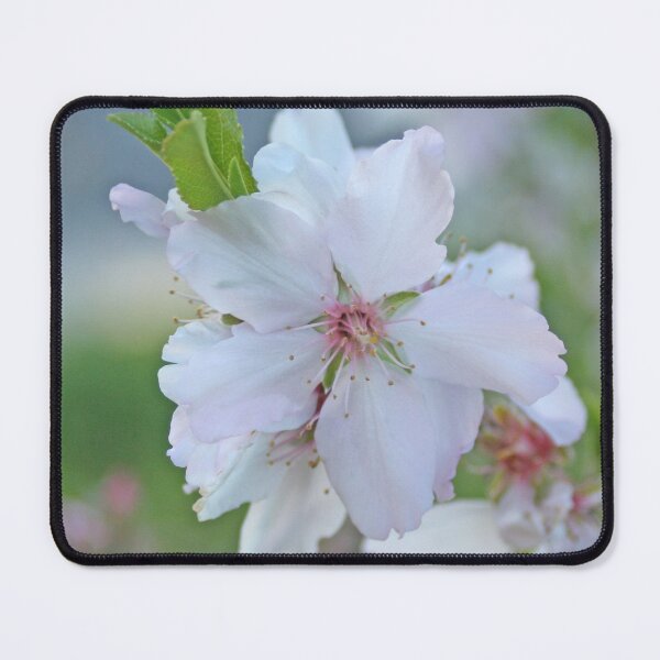Item preview, Almond Tree Flower Closeup designed and sold by Anna Lemos.