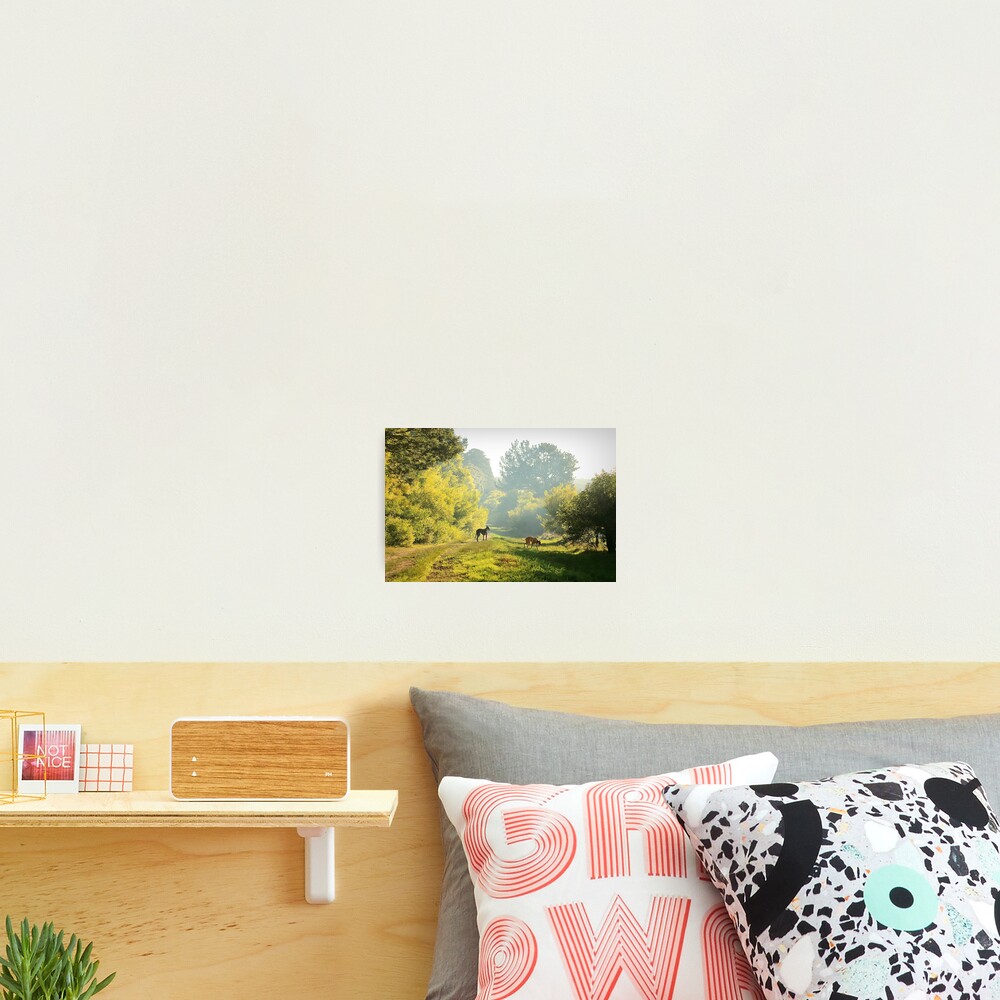 Item preview, Photographic Print designed and sold by HoundExposure.