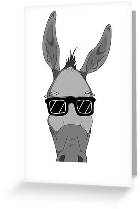 donkey sunglasses