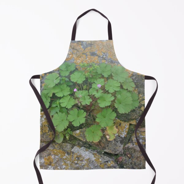 Item preview, Life on an old stone wall designed and sold by Anna Lemos.