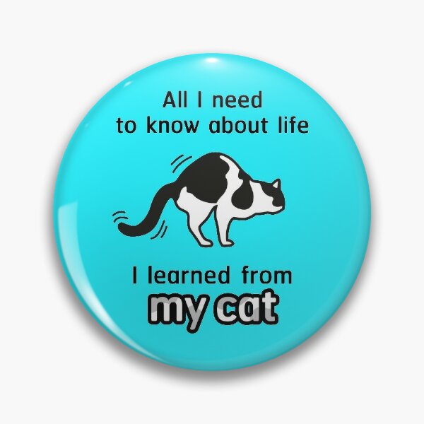 All I need to know about life, I learned from my cat. Funny