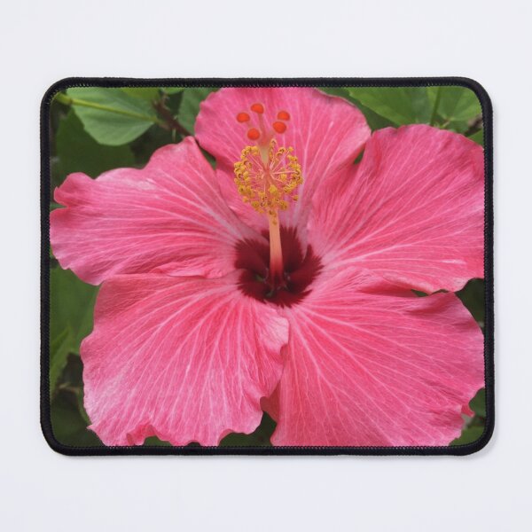 Item preview, Green Leaves Pretty Pink Hibiscus Flower designed and sold by jays-artworks.