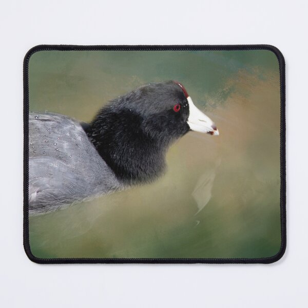Item preview, American Coot designed and sold by Elisabeth Lucas.