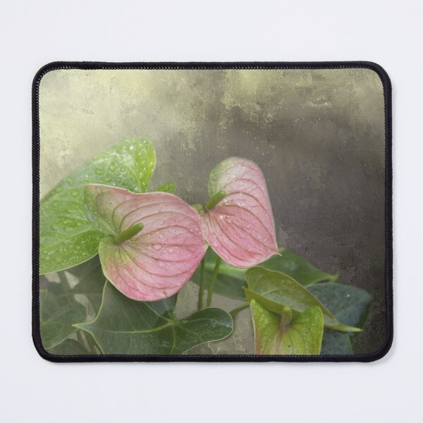 Item preview, Pink Anthurium designed and sold by Elisabeth Lucas.