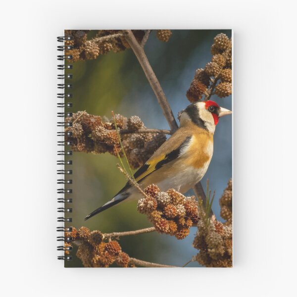 Item preview, Goldfinch 3 designed and sold by David  Hibberd.