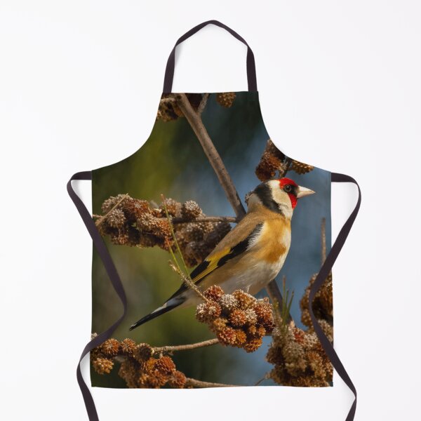 Item preview, Jilguero 3 designed and sold by David Hibberd.