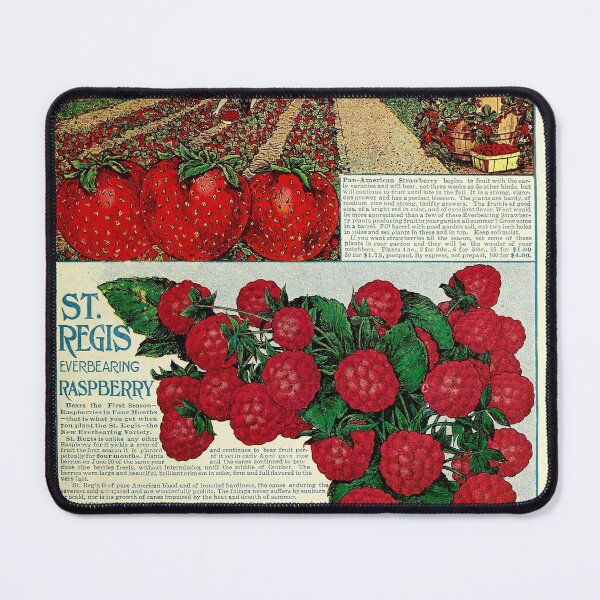 Item preview, Vintage Raspberry Seed Catalog Print (1912) designed and sold by Douglas E. Welch Design and Photography.