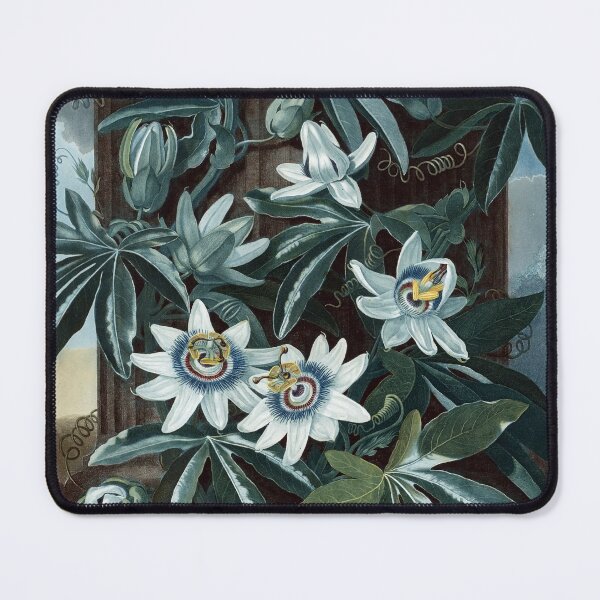 Item preview, Vintage Botanical Print: The Blue Passion-flower 1799-1807 designed and sold by Douglas E. Welch Design and Photography.