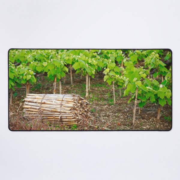 Item preview, Grape vines designed and sold by Gaspar Avila.