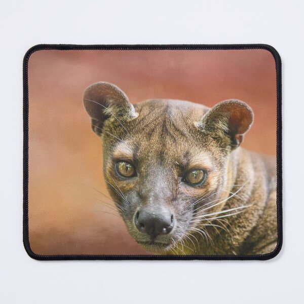 Sunset Fossa Mouse Pad
