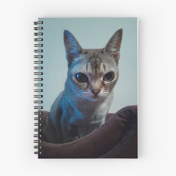 Item preview, Speedball in blue light designed and sold by Cat-yawns.
