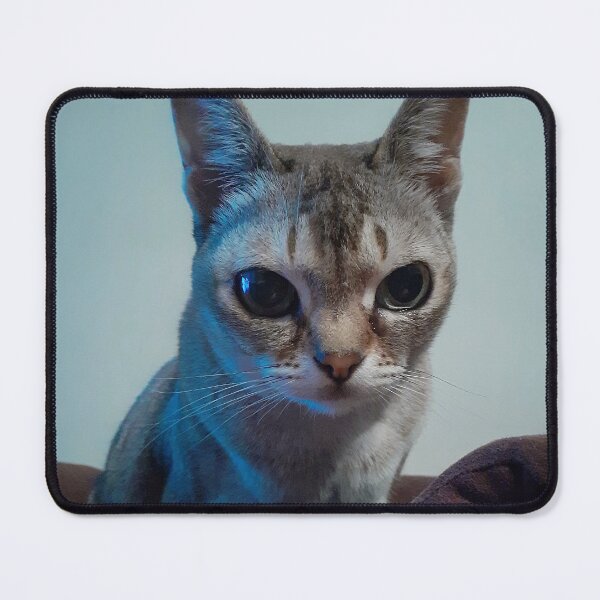 Item preview, Speedball in blue light designed and sold by Cat-yawns.
