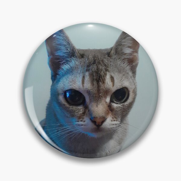 Item preview, Speedball in blue light designed and sold by Cat-yawns.