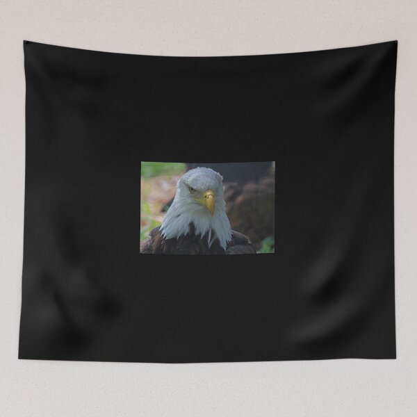 Item preview, Mysterious Treasure designed and sold by Michiale.