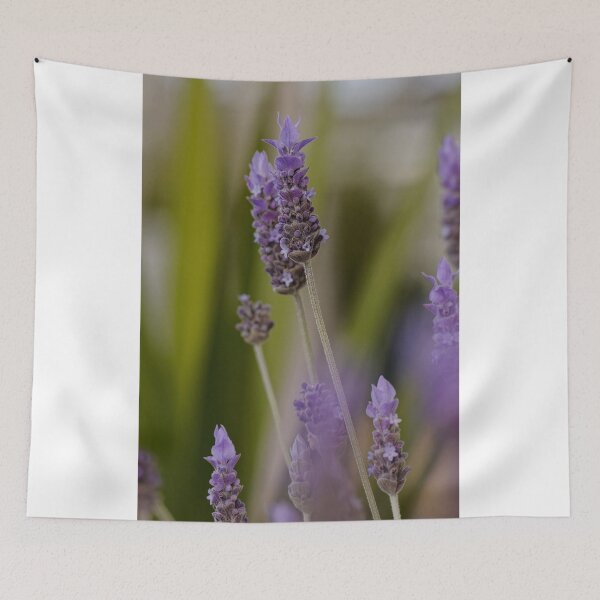 Item preview, I am purple and beautiful designed and sold by Mrtweety.