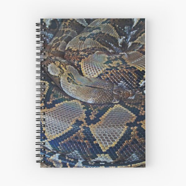 Item preview, Python designed and sold by Michiale.