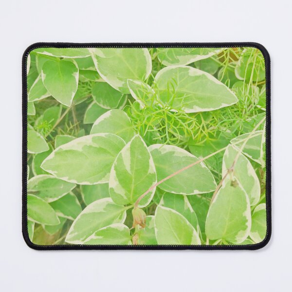 Item preview, Warm Green Leaves Photography designed and sold by Lady-Lilac.