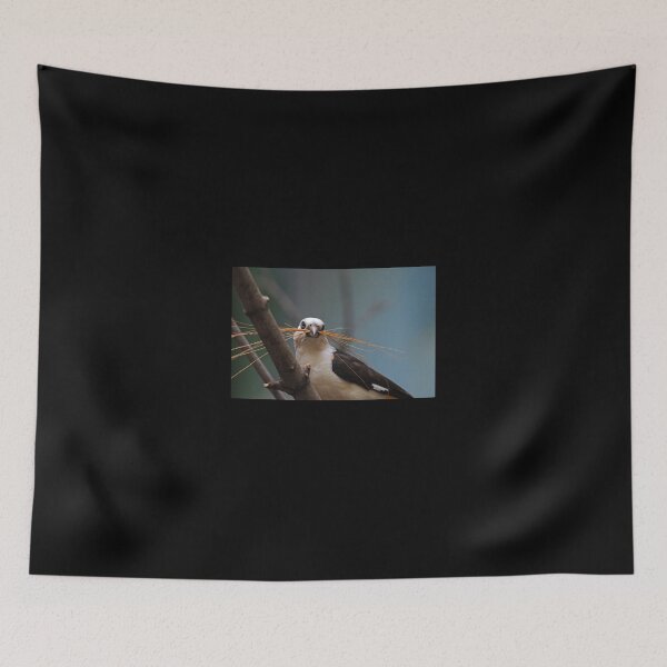 Item preview, White-headed Buffalo Weaver designed and sold by Michiale.